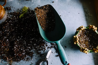 Comment choisir une boutique pour acheter un chariot de jardin ?