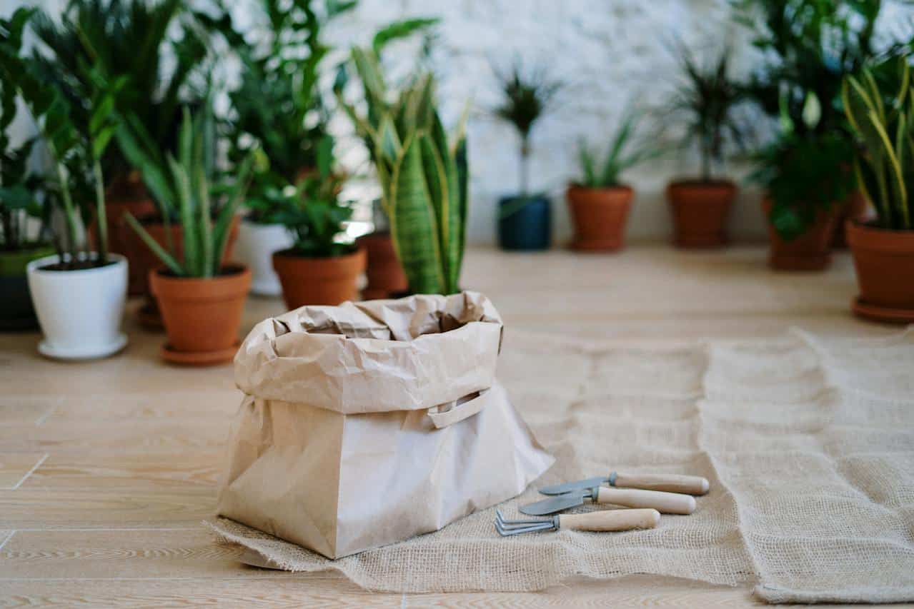 Comment choisir les pots de fleurs pour la maiso